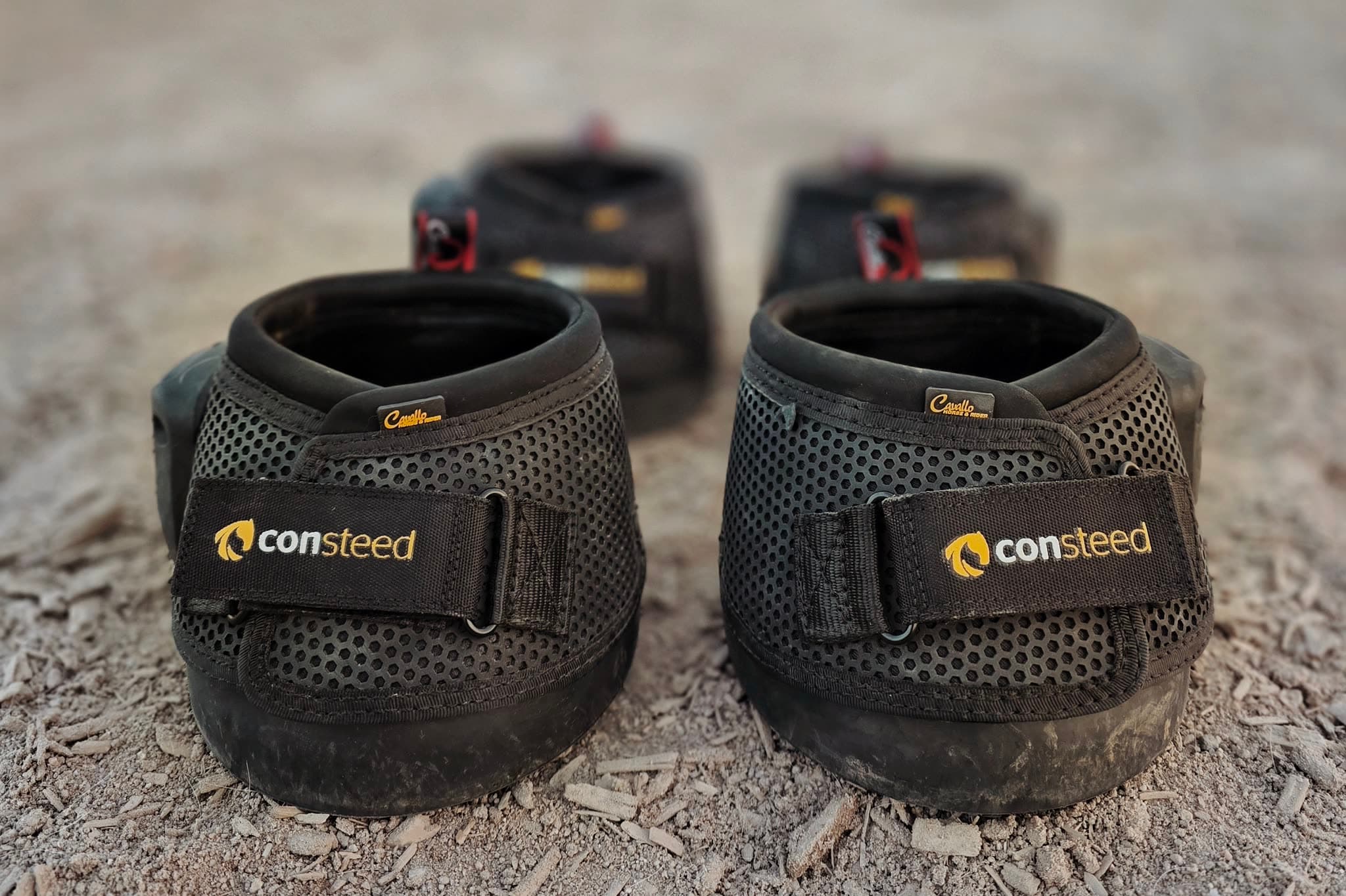 Vier Consteed®-Hufschuhe mit Sensorik auf dem Reitplatz